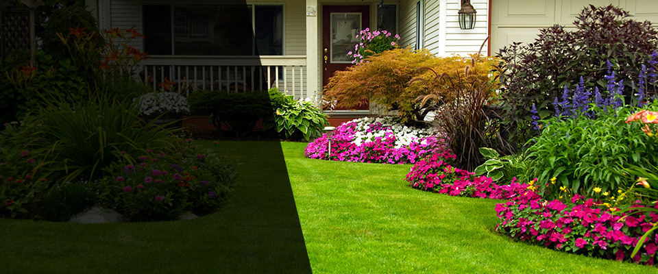 Grifton Landscapers
