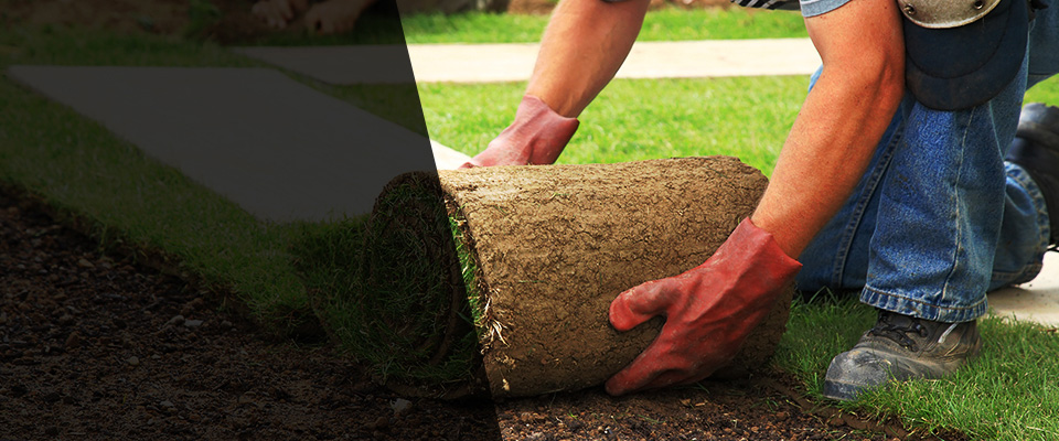 Grifton Landscapers